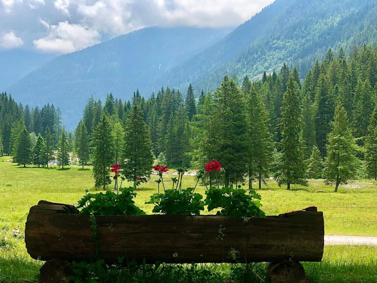 Suite Italy Pinzolo Carisolo Esterno foto