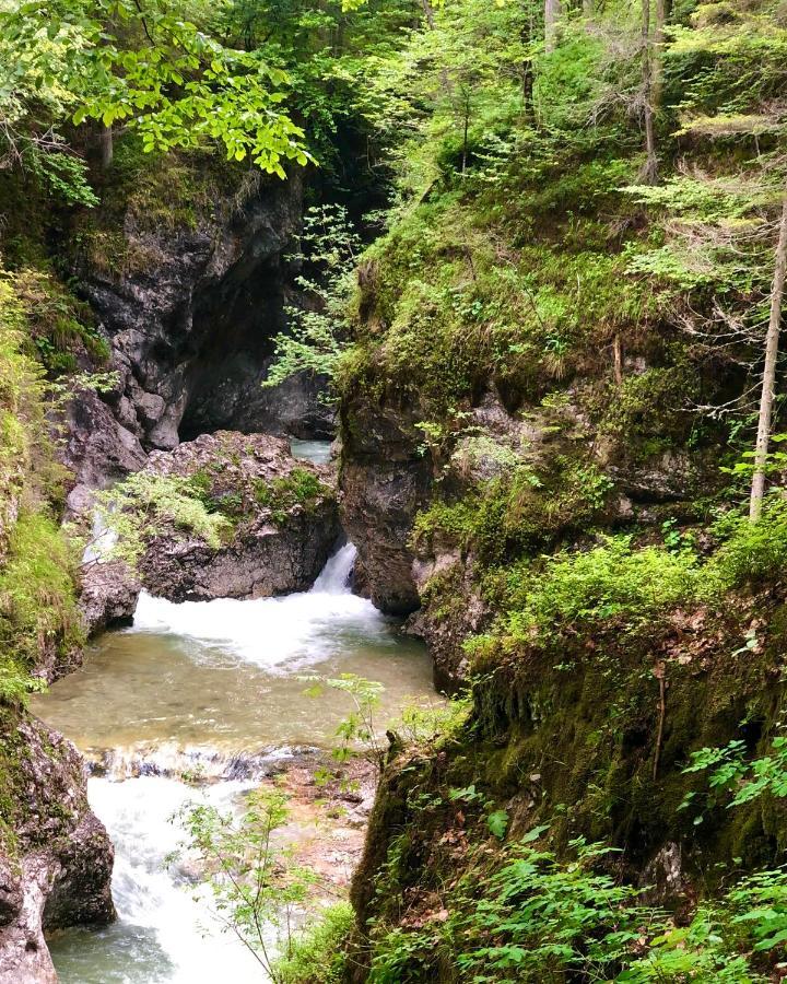 Suite Italy Pinzolo Carisolo Esterno foto