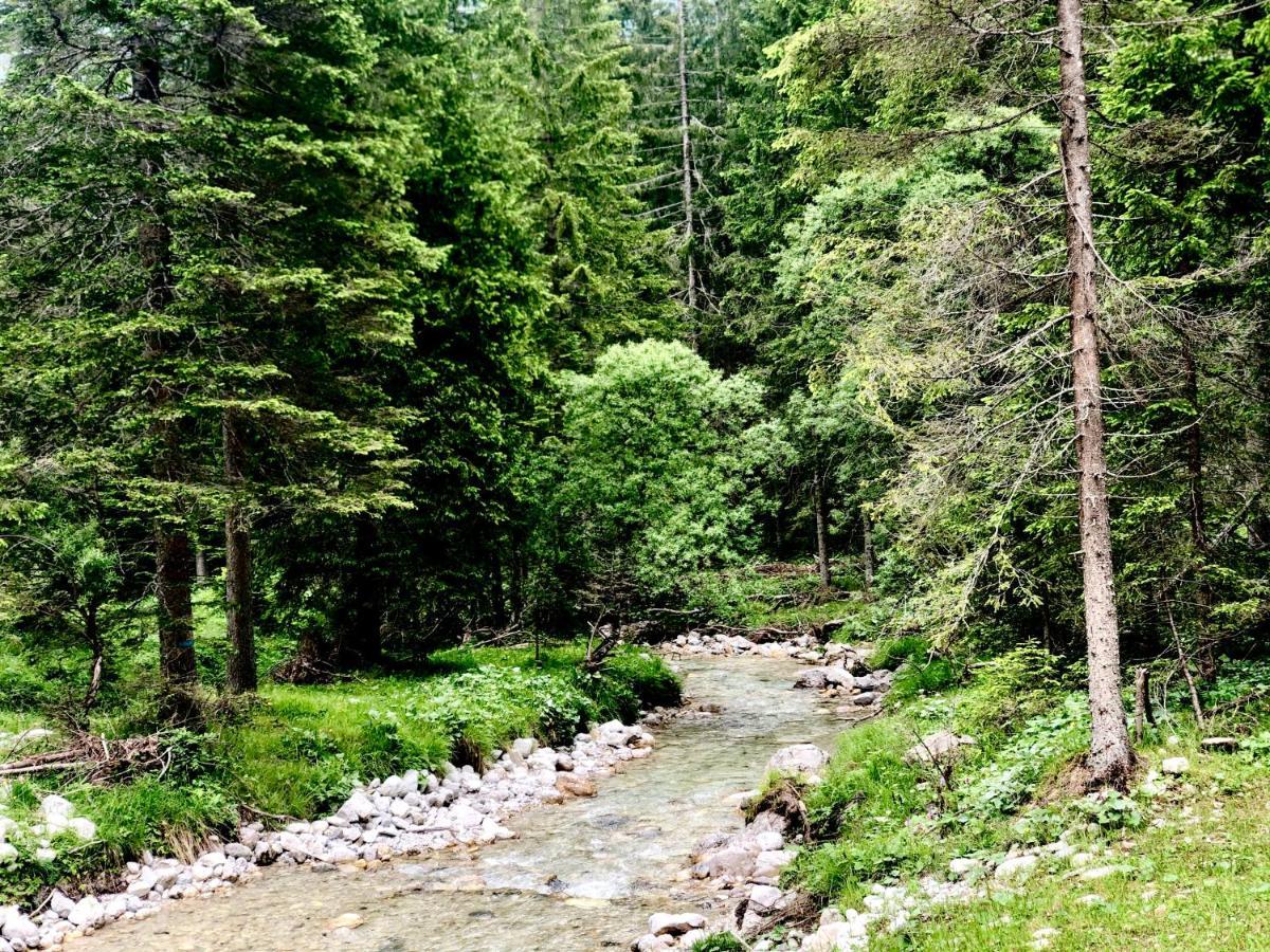 Suite Italy Pinzolo Carisolo Esterno foto