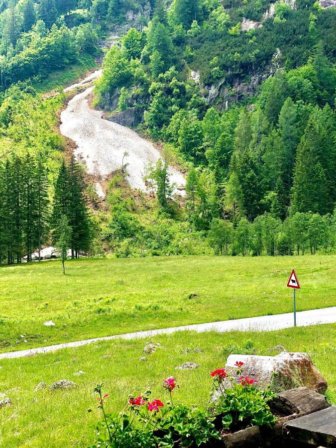 Suite Italy Pinzolo Carisolo Esterno foto