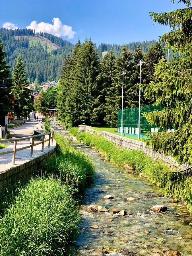 Suite Italy Pinzolo Carisolo Esterno foto